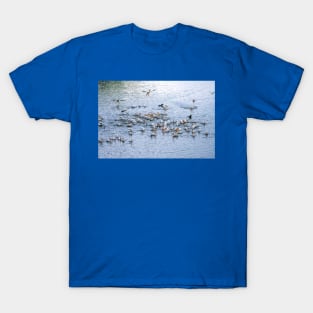 Morning Arrivals Joining the Flock T-Shirt